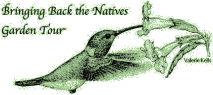 Bringing Back The Natives Garden Tour