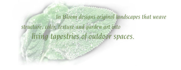 In Bloom designs original landscapes that weave structure, color, texture, and garden art into living tapestries of oudoor spaces.