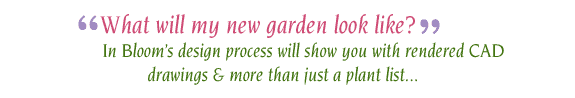 What will my new garden look like? In Bloom’s design process will show you with rendered CAD drawings & more than just a plant list...